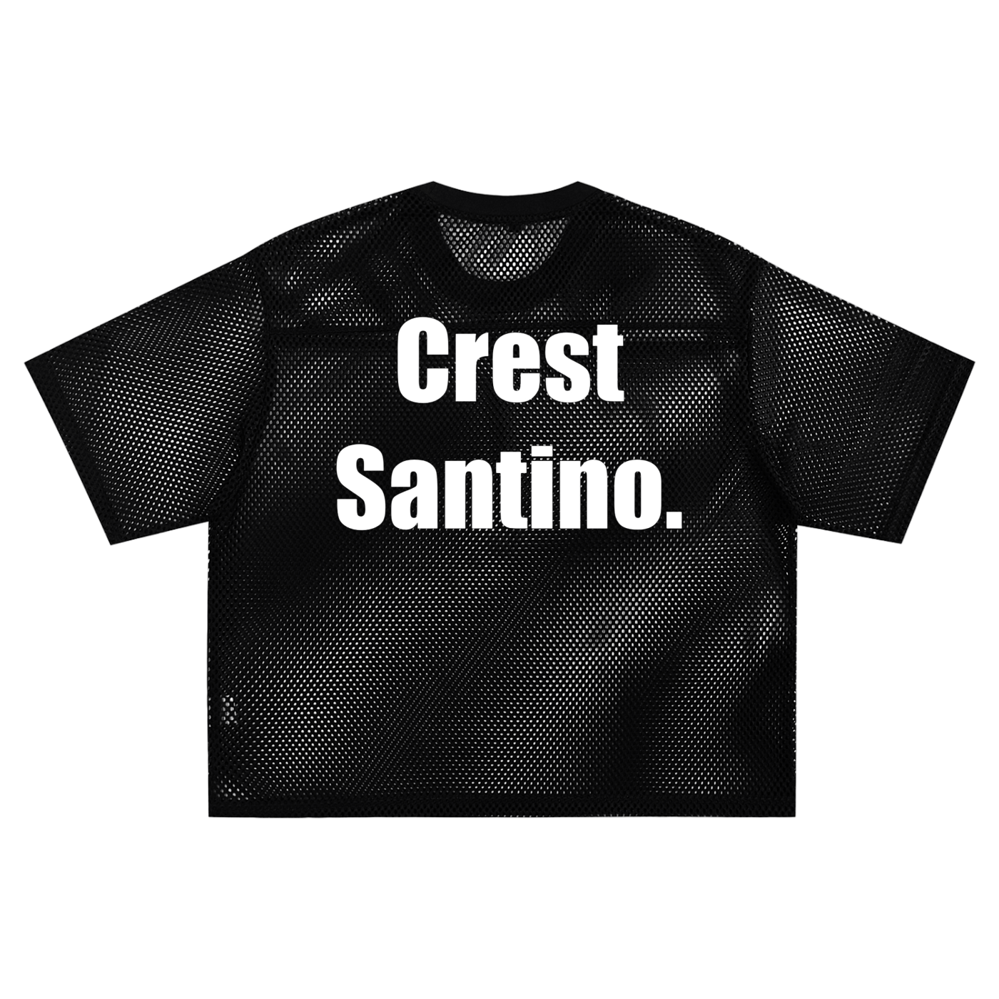 See-through Boxy Net RIGHTS TEE